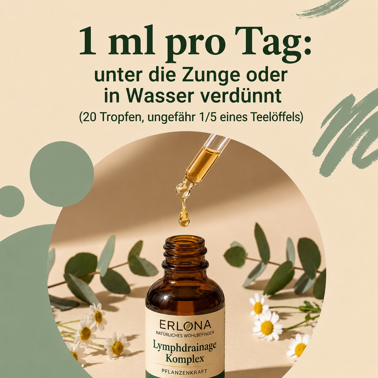 Lymphdrainage-Komplex